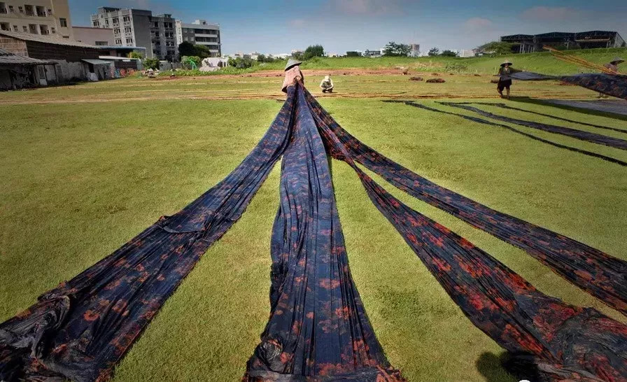 Xiangyunsha 100% Silk drying on grass field